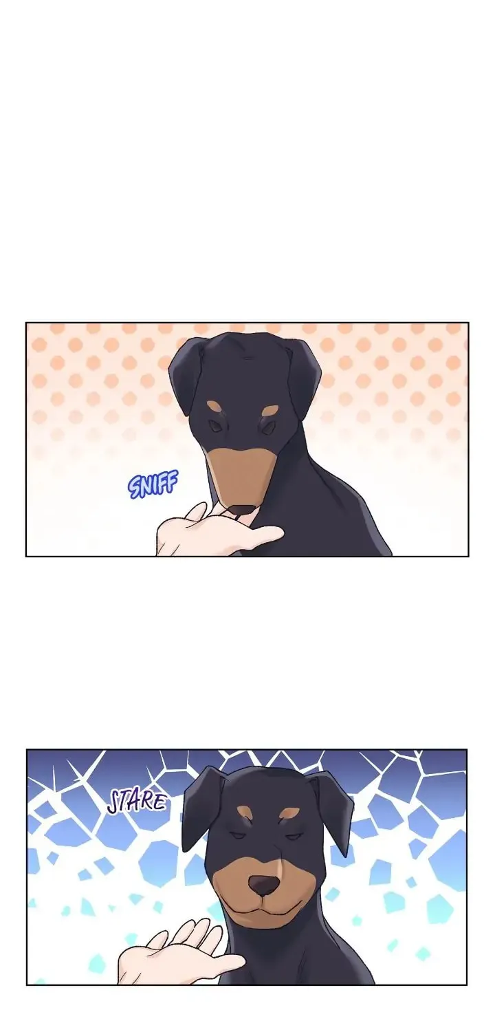 Monochrome Rumor Chapter 68 page 54 - 