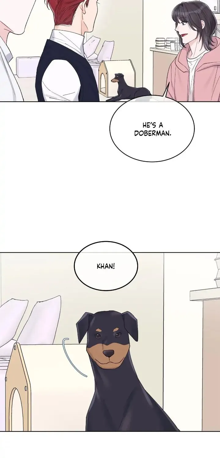Monochrome Rumor Chapter 68 page 8 - 