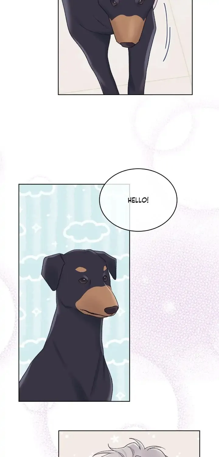 Monochrome Rumor Chapter 68 page 10 - 
