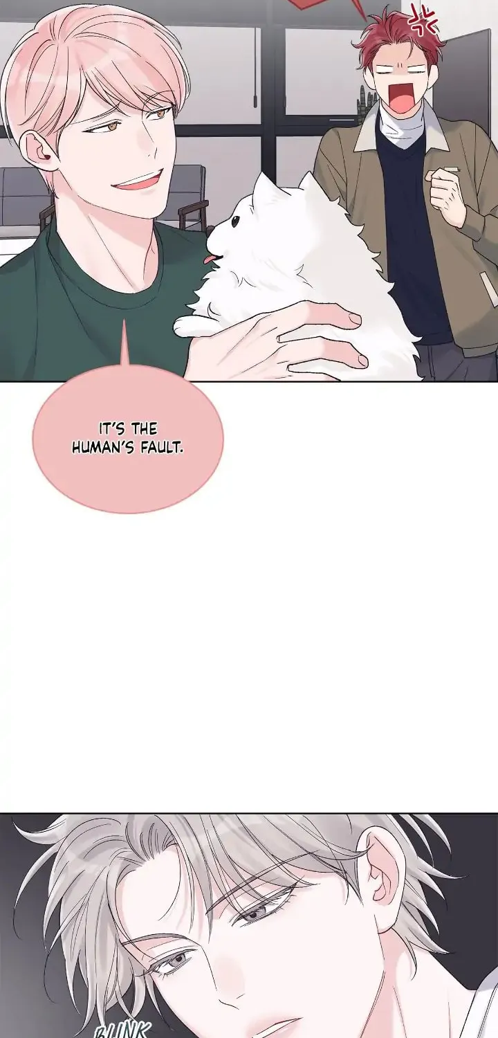 Monochrome Rumor Chapter 69 page 13 - 
