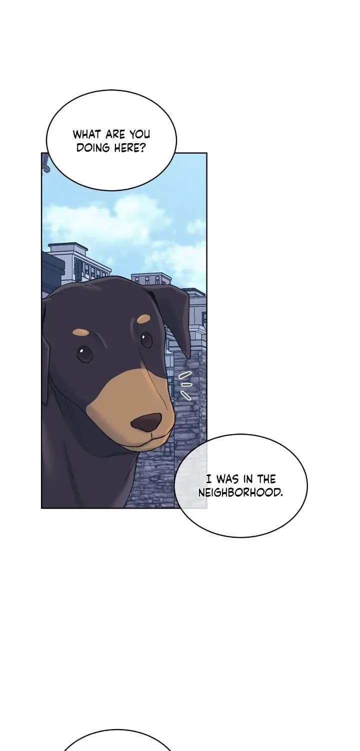Monochrome Rumor Chapter 75 page 43 - 