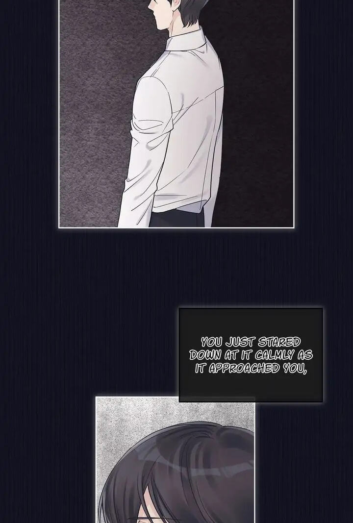 Monochrome Rumor Chapter 37 page 39 - 