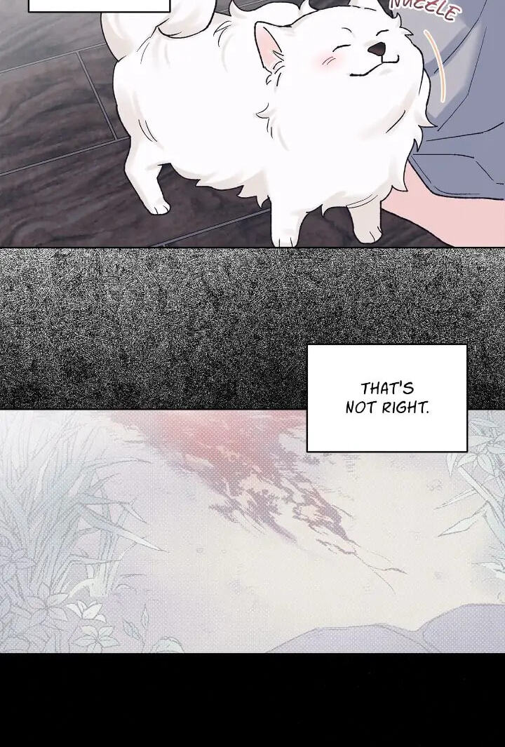 Monochrome Rumor Chapter 72 page 45 - 