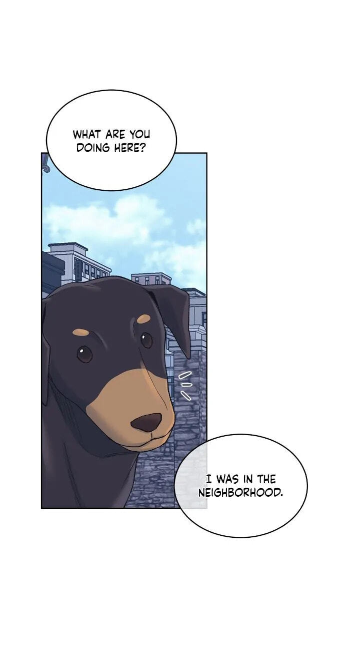 Monochrome Rumor Chapter 75 page 43 - 