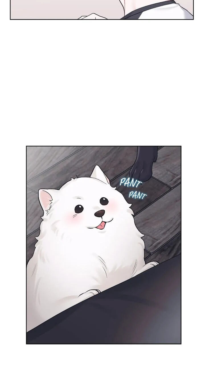 Monochrome Rumor Chapter 81 page 32 - 