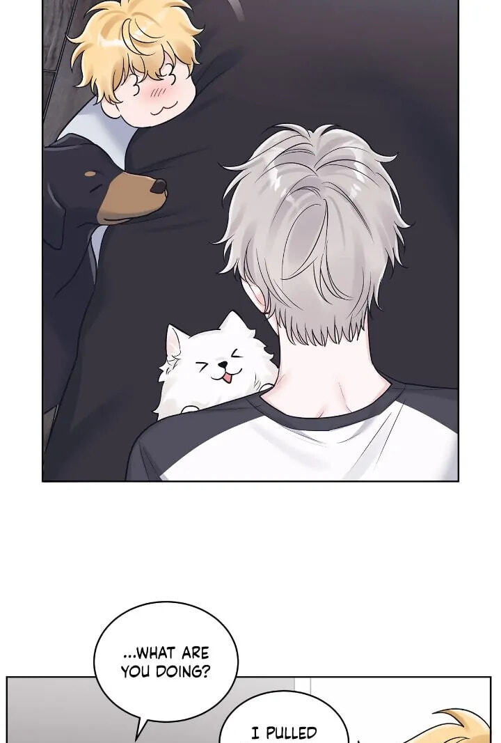 Monochrome Rumor Chapter 81 page 41 - 