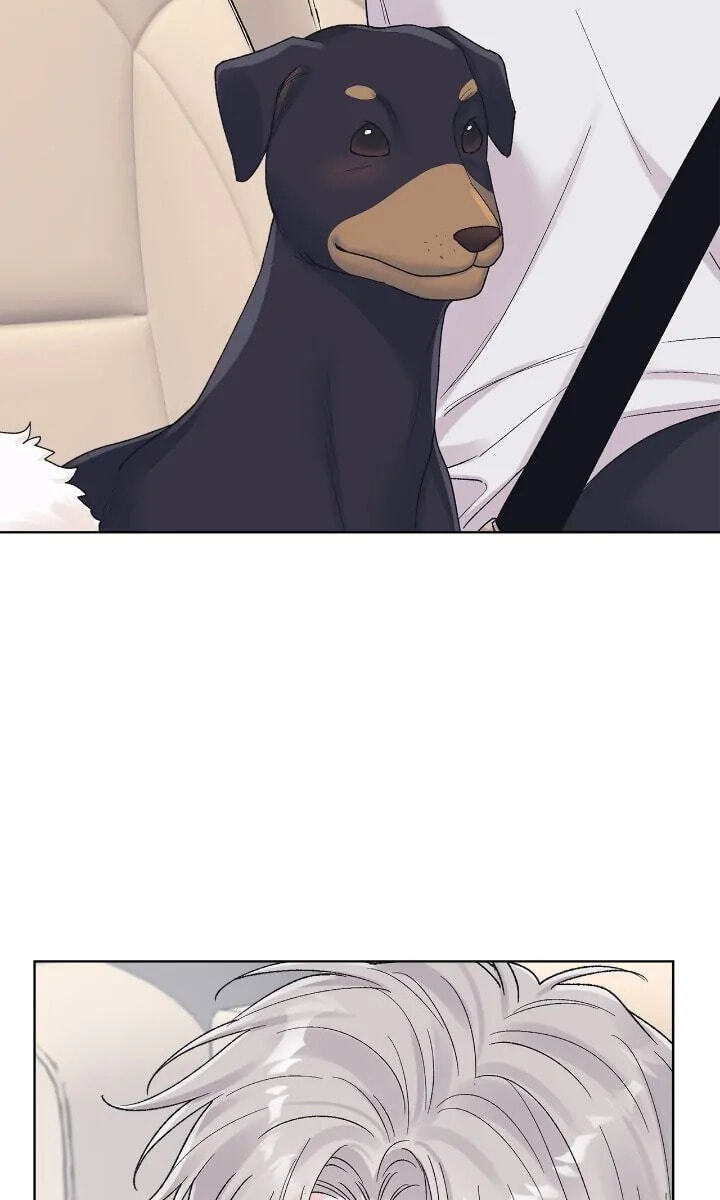 Monochrome Rumor Chapter 86 page 66 - 