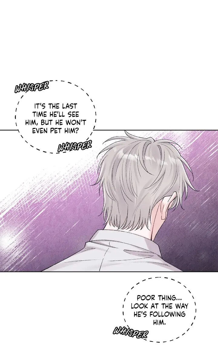 Monochrome Rumor Chapter 89 page 21 - 