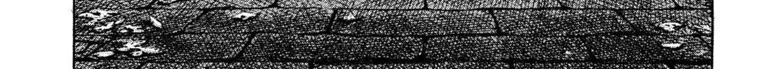 Monster (Perfect Edition) Chapter 120 page 4 - 