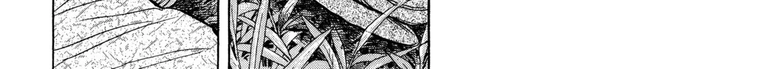 Monster (Perfect Edition) Chapter 141 page 14 - 