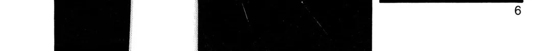 Monster (Perfect Edition) Chapter 142 page 8 - 