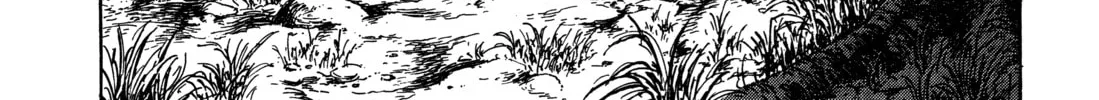 Monster (Perfect Edition) Chapter 145 page 44 - 