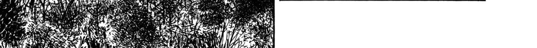 Monster (Perfect Edition) Chapter 147 page 14 - 