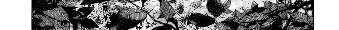 Monster (Perfect Edition) Chapter 147 page 8 - 