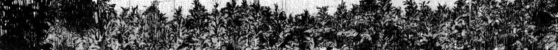 Monster (Perfect Edition) Chapter 149 page 8 - 