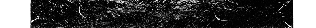 Monster (Perfect Edition) Chapter 160 page 8 - 