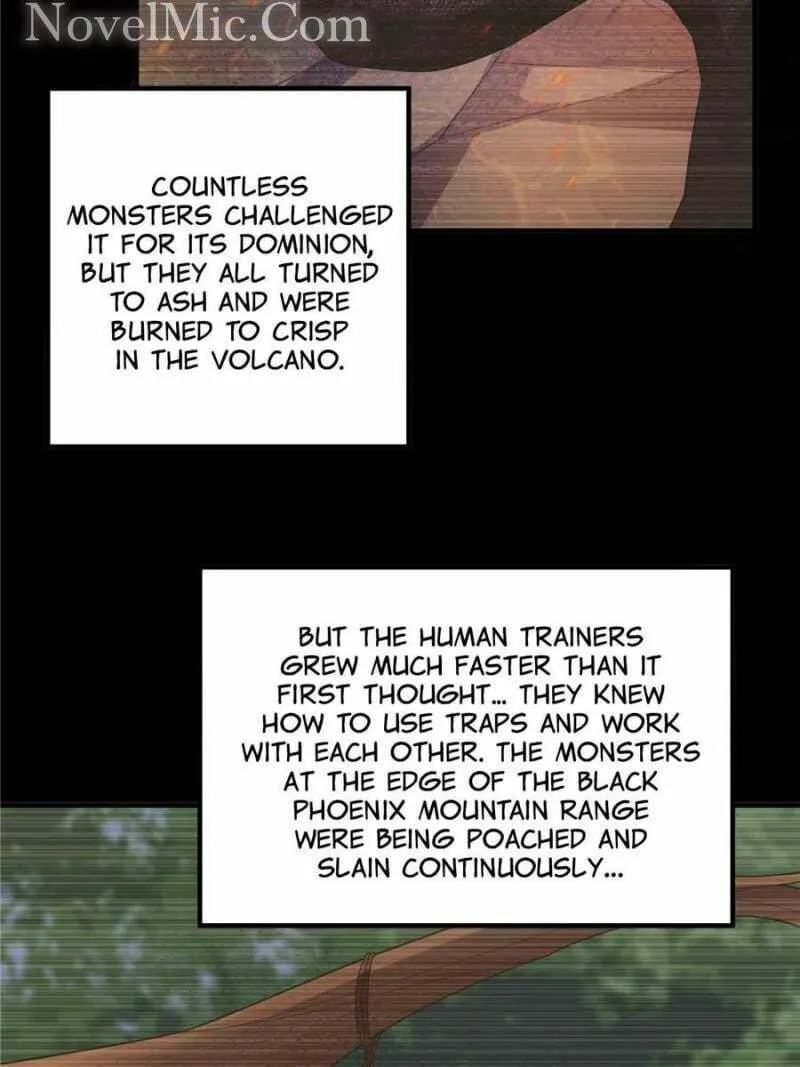 Monster Pet Evolution (Colored) Chapter 219 page 13 - 