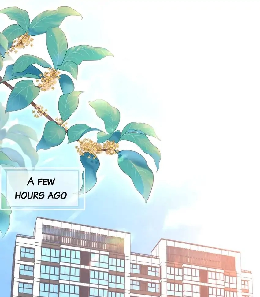 Morbid Attachment Chapter 76 page 44 - 