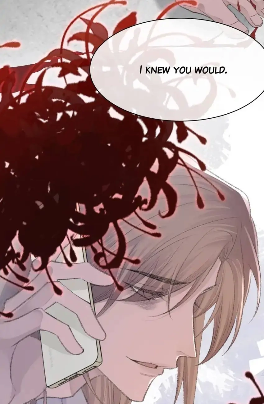 Morbid Attachment Chapter 77 page 42 - 