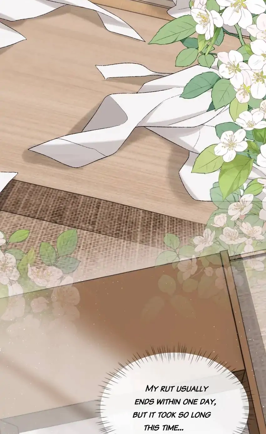 Morbid Attachment Chapter 95 page 4 - 