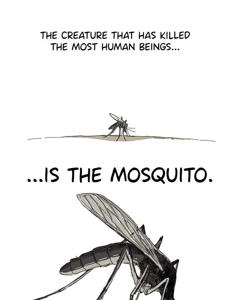 Mosquito Wars Chapter 1 page 12 - 