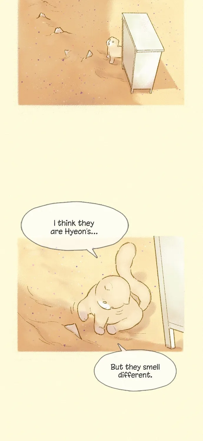 Motungi Tteugaebang Chapter 12 page 8 - 