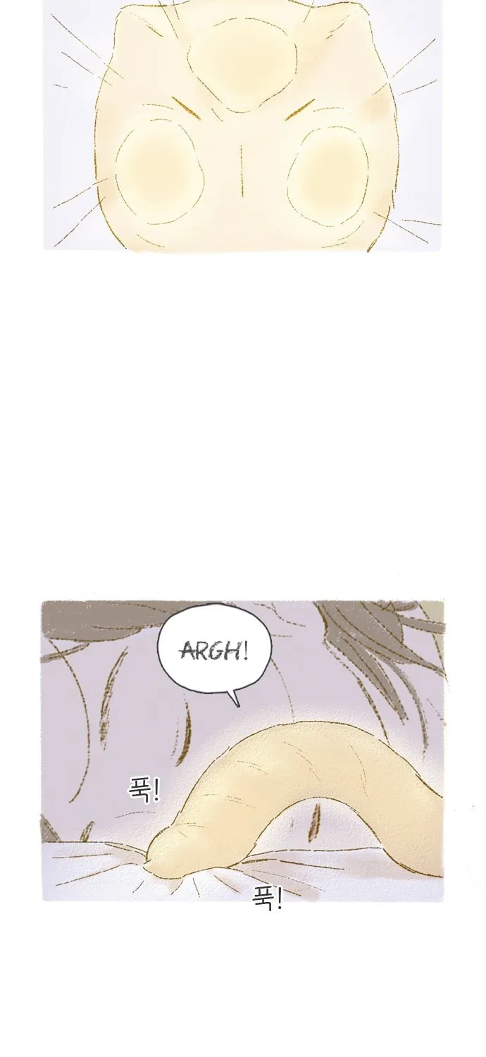 Motungi Tteugaebang Chapter 4 page 3 - 