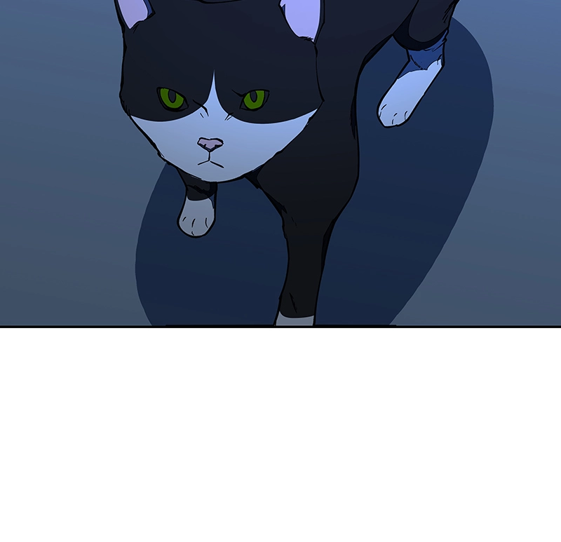 Mr. Beta Chapter 501 page 53 - 