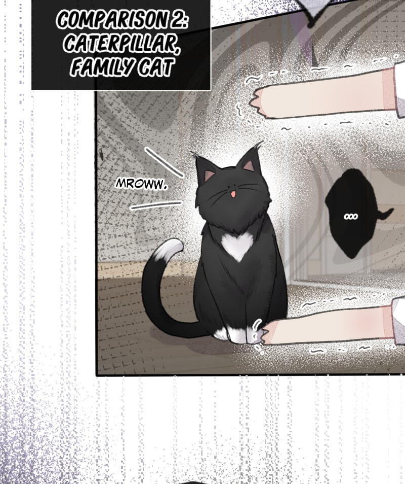 Mr. Beta Chapter 677 page 7 - 
