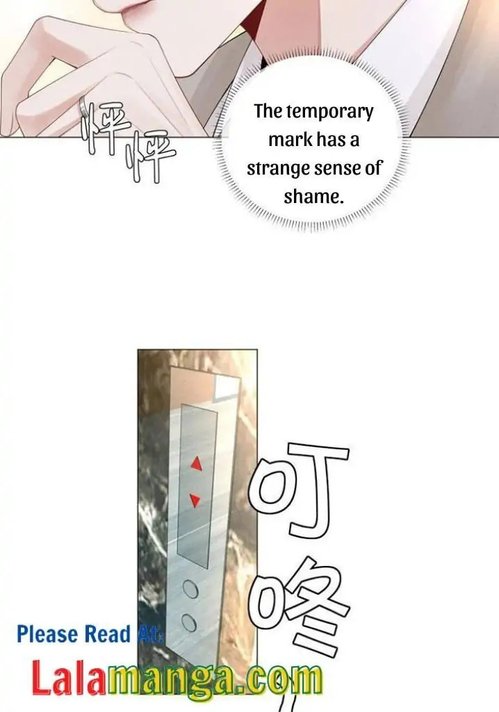 Mr. Dior (Colored) Chapter 31 page 35 - 