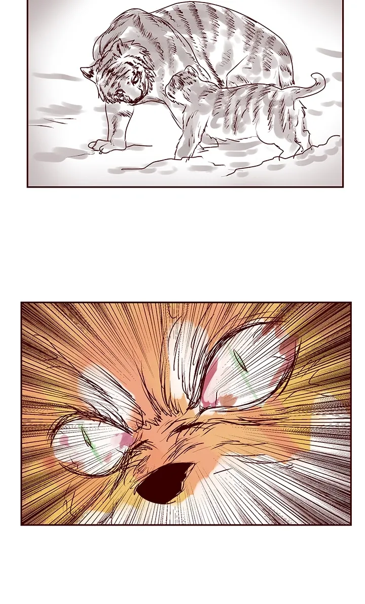 Muscle Girls Colosseum Chapter 3 page 35 - 
