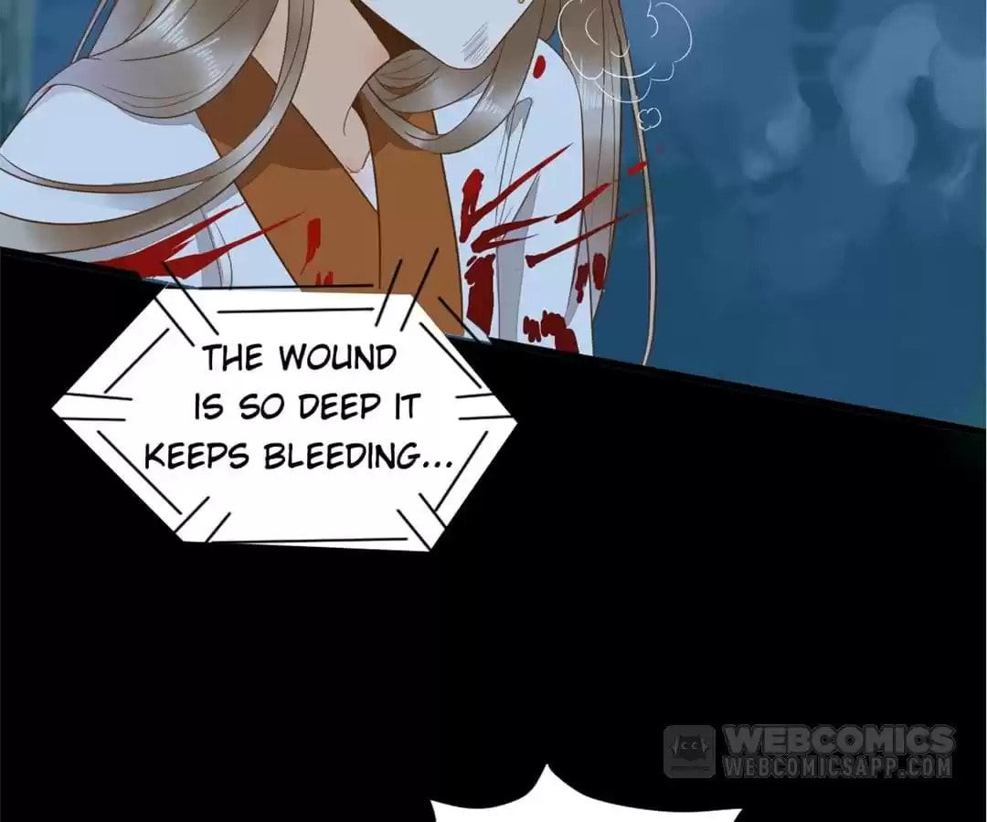My Assassin Consort Chapter 84 page 47 - 