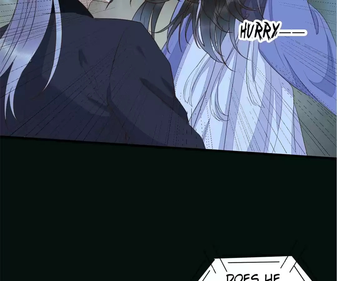 My Assassin Consort Chapter 84 page 8 - 
