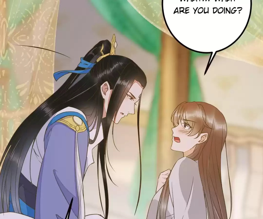 My Assassin Consort Chapter 86 page 41 - 