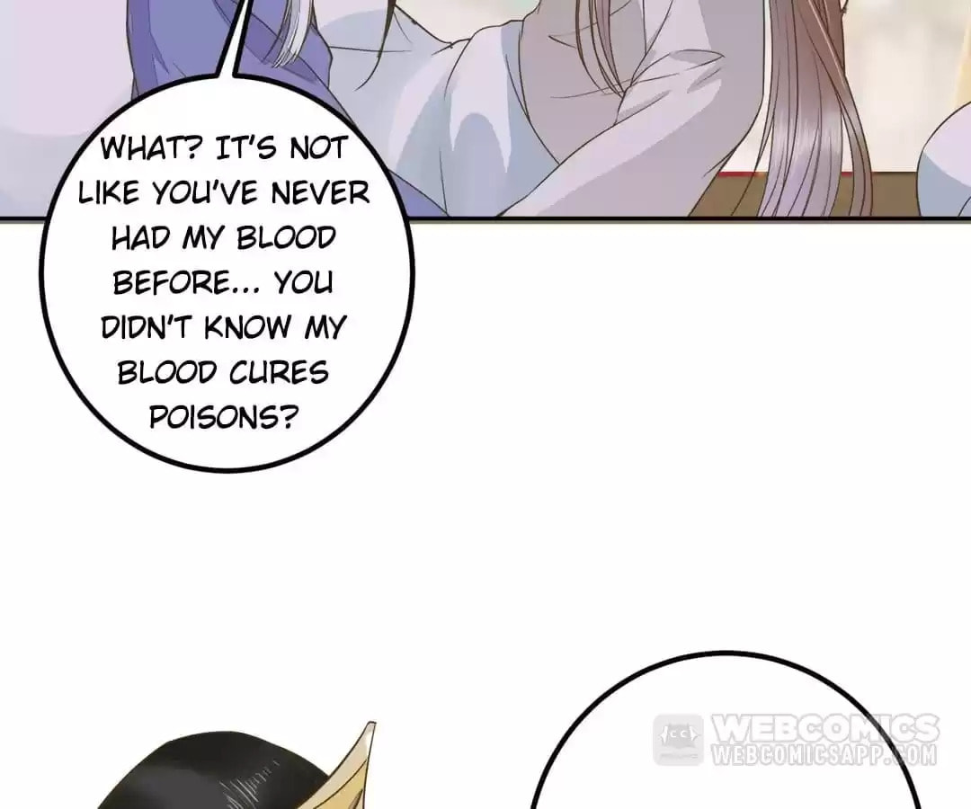 My Assassin Consort Chapter 86 page 42 - 