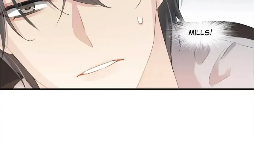 My Babe Chapter 12 page 45 - 