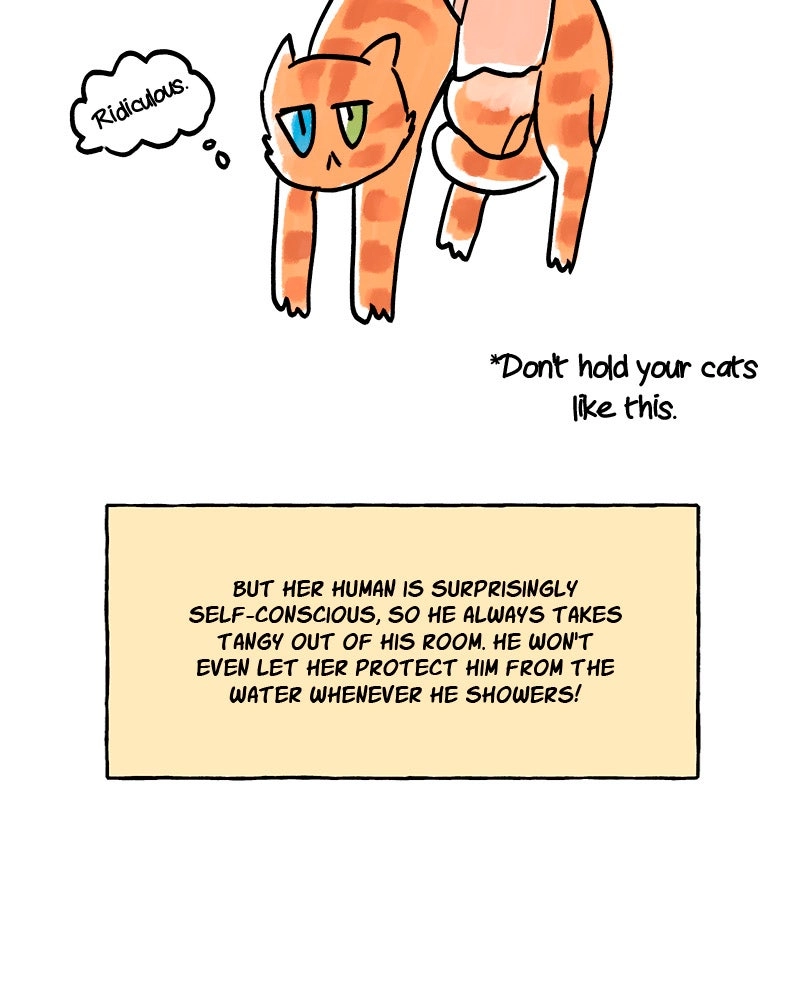 My Babe Chapter 61 page 53 - 