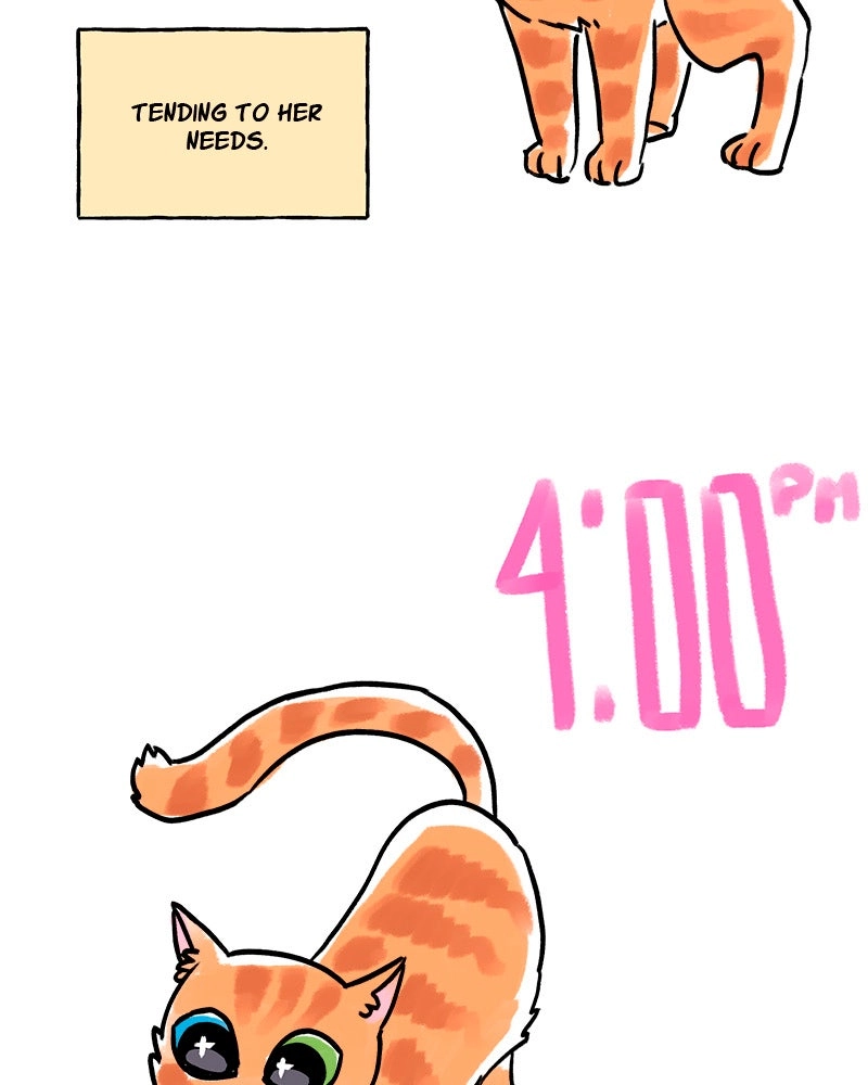 My Babe Chapter 61 page 64 - 