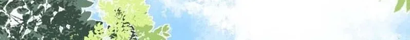 My Blind Date Is My Ex-Boyfriend Chapter 11 page 2 - 