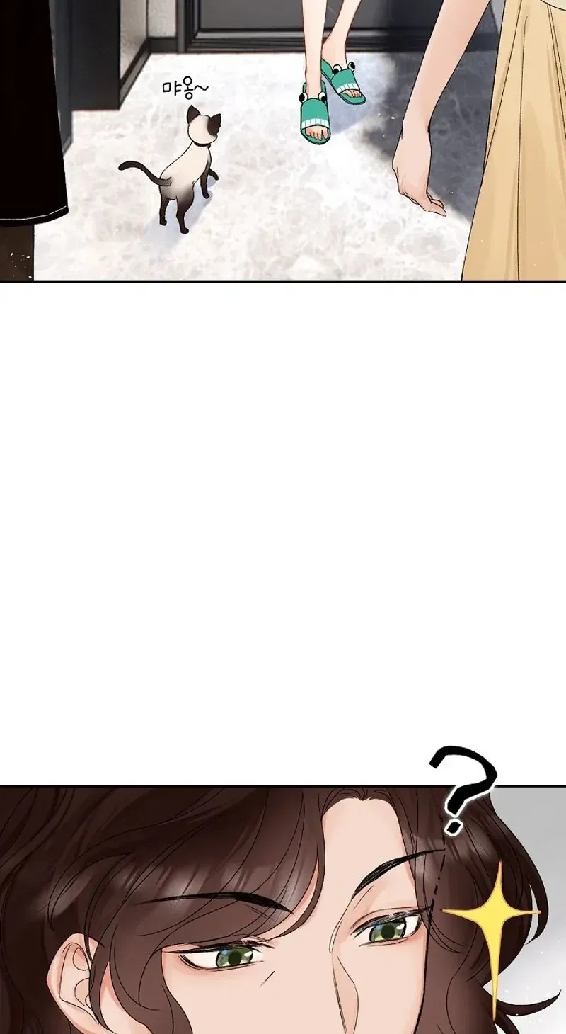 My Blind Date Is My Ex-Boyfriend Chapter 3 page 52 - 