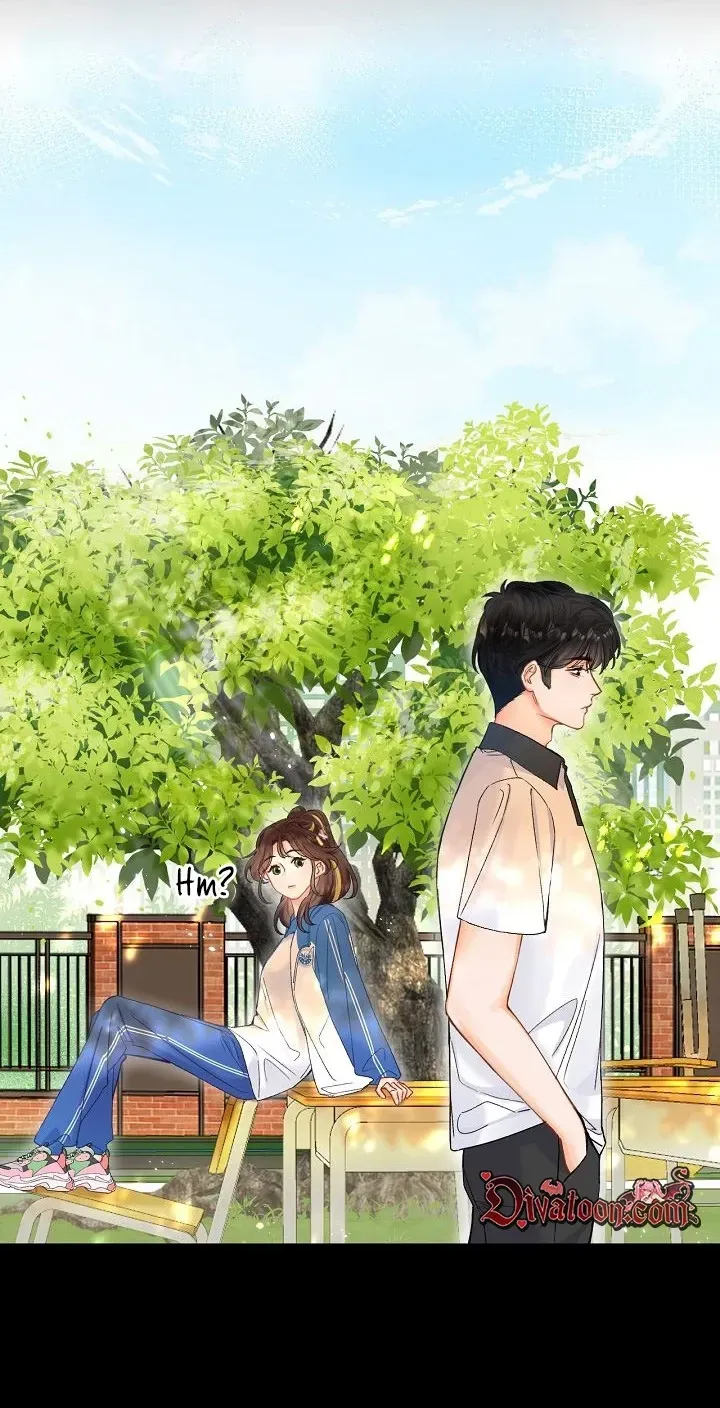 My Blind Date Is My Ex-Boyfriend Chapter 5 page 23 - 