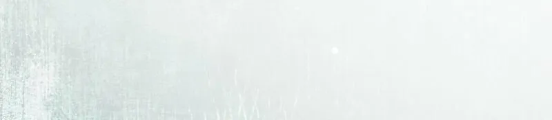 My Body Has Been Possessed by Someone Chapter 47 page 65 - 
