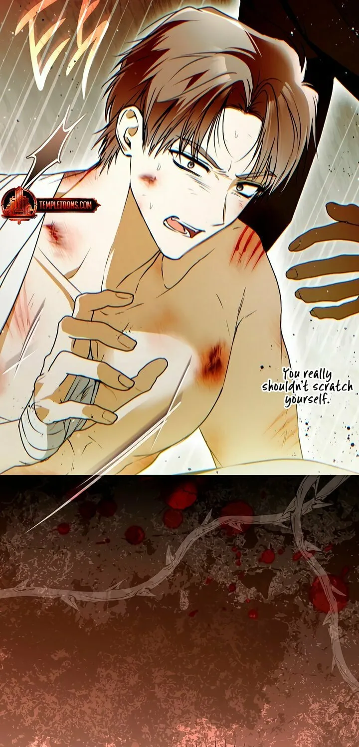 My Body Has Been Possessed by Someone Chapter 56 page 14 - 