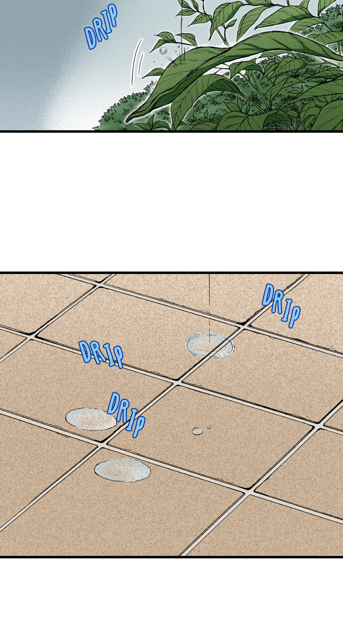 My Brother's Friend Chapter 159 page 3 - 