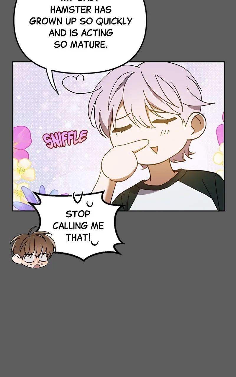 My Comeback as the Youngest Member Chapter 18 page 24 - 