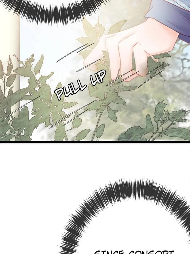 My Cute Concubine Chapter 17 page 5 - 