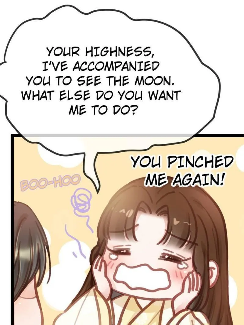 My Cute Concubine Chapter 39 page 1 - 