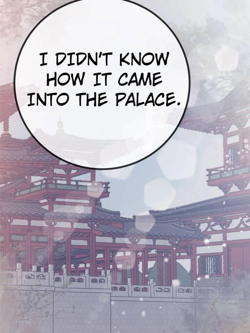 My Cute Concubine Chapter 44 page 7 - 