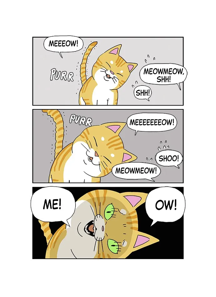 My Daughter is a Zombie Chapter 2 page 17 - 