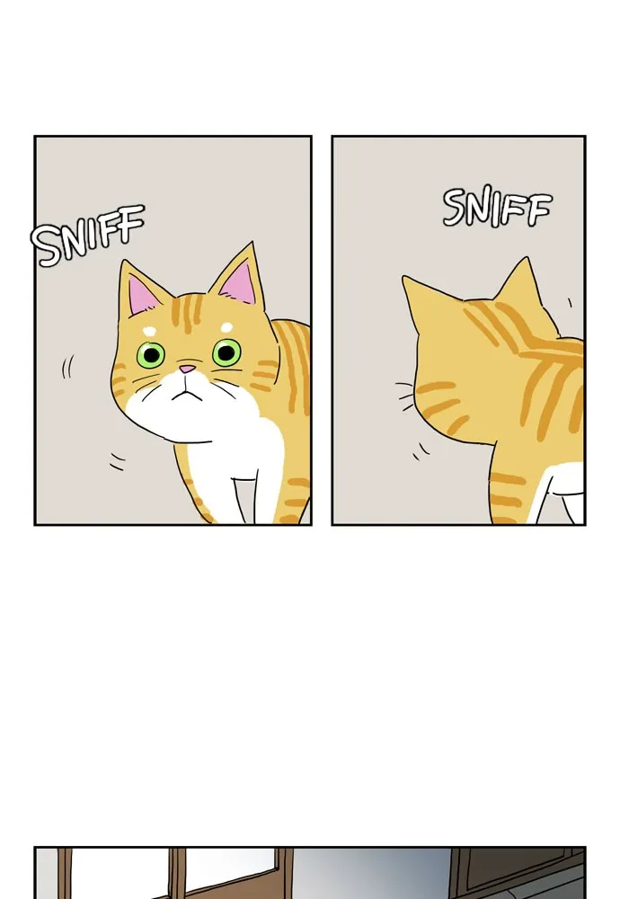 My Daughter is a Zombie Chapter 6 page 1 - 